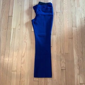 Bold Blue Express Columnist Pant - 12R